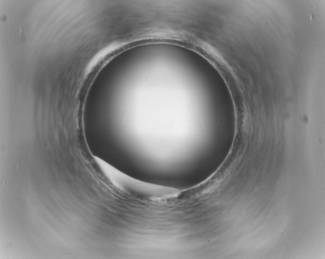 X0000088131222200705291325