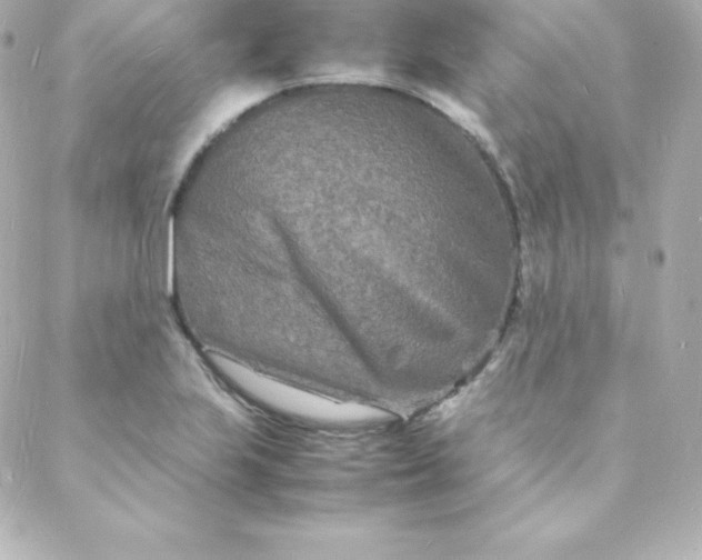 X0000088131223200705291325