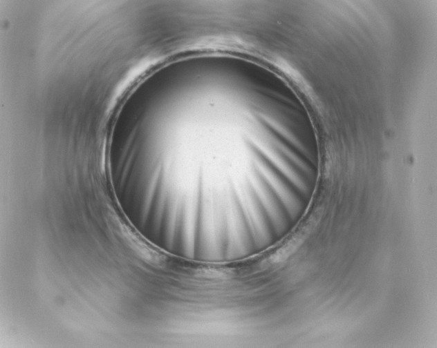 X0000088131224200705291325