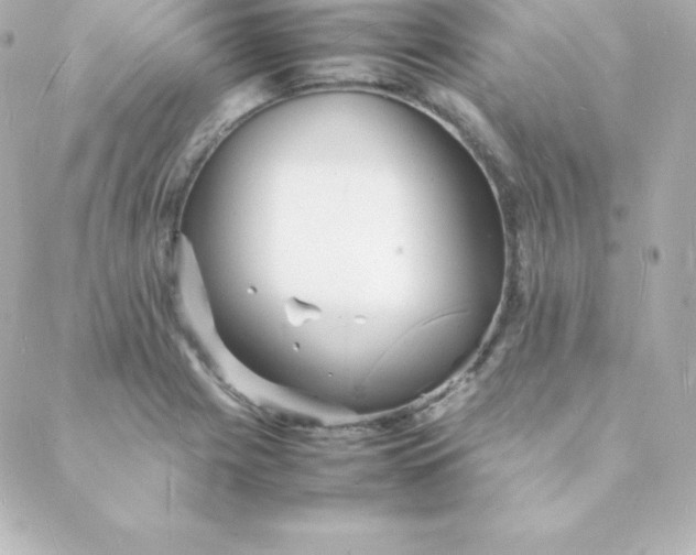 X0000088131225200705291325