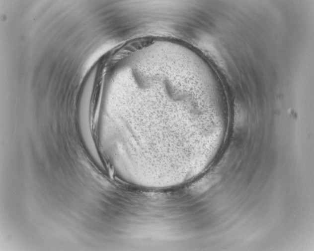 X0000088131226200705291325