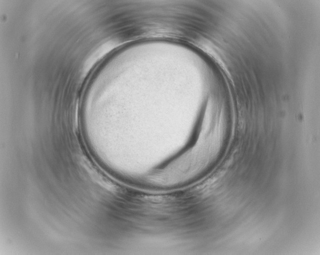 X0000088131227200705291325