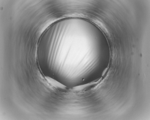 X0000088131228200705291325