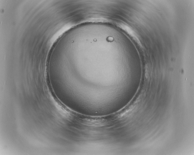 X0000088131229200705291325