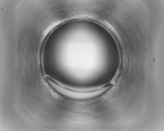 X0000088131230200705291325