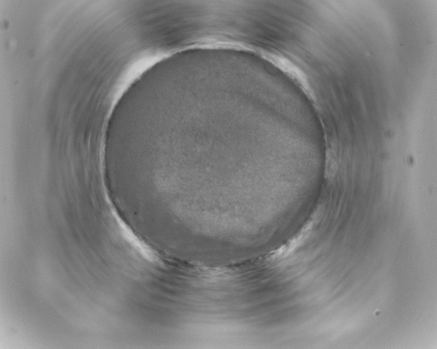 X0000088131231200705291325