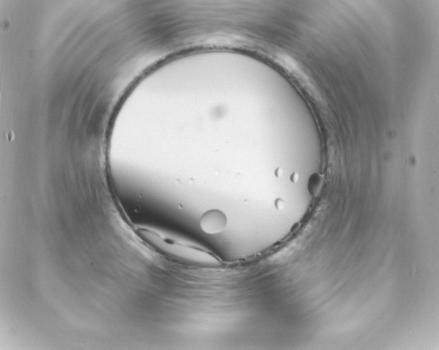 X0000088131232200705291325