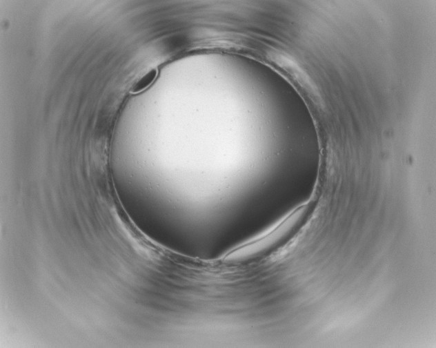 X0000088131233200705291325