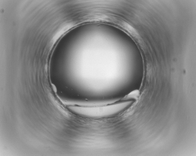 X0000088131234200705291325