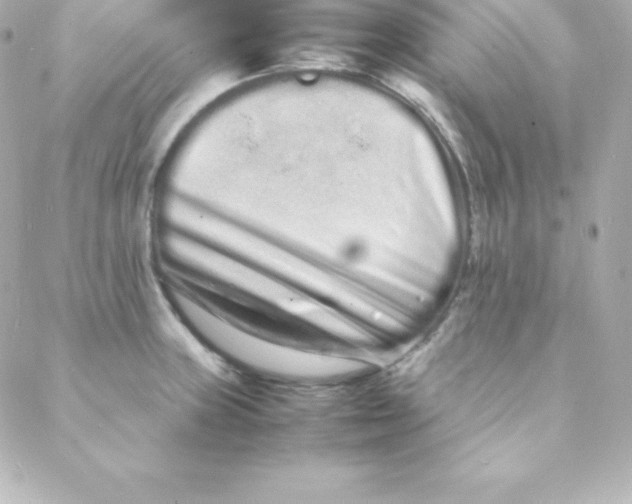 X0000088131235200705291325