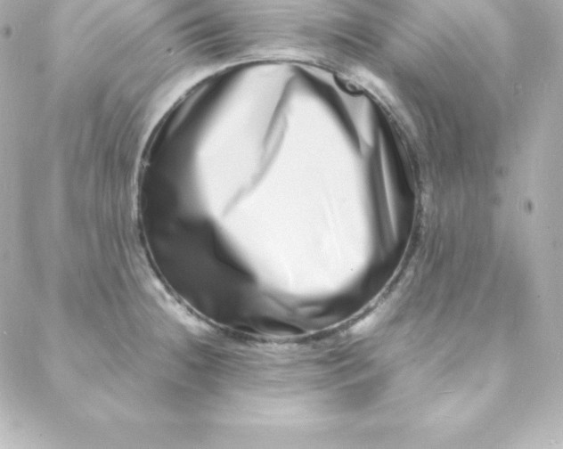 X0000088131236200705291325