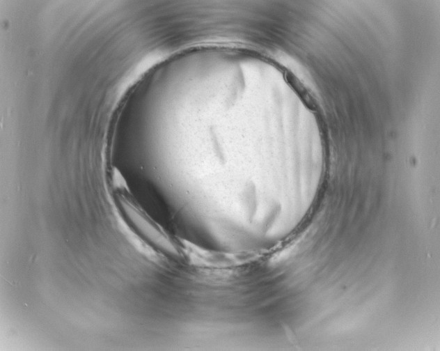 X0000088131237200705291325