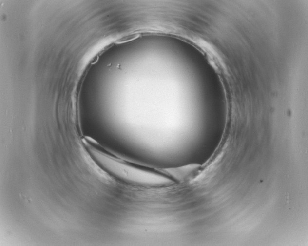 X0000088131238200705291325