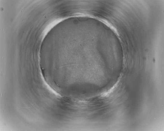 X0000088131239200705291325