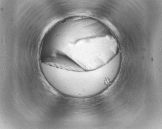 X0000088131240200705291325