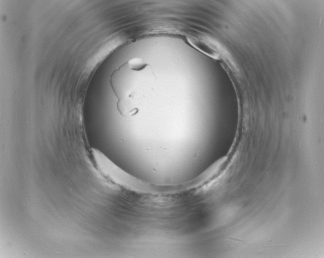 X0000088131241200705291325