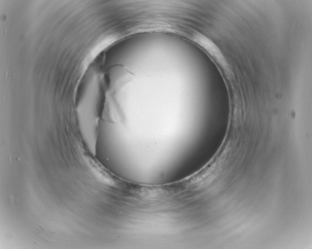 X0000088131242200705291325