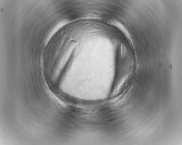 X0000088131243200705291325