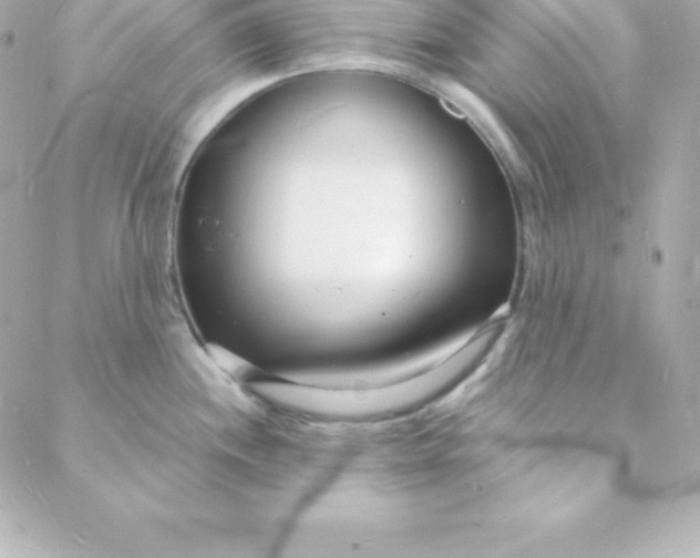 X0000088131244200705291325