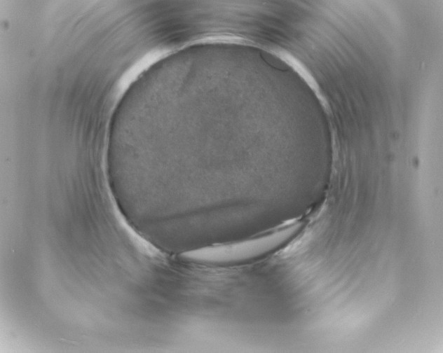 X0000088131245200705291325