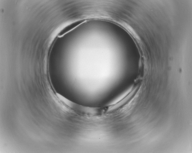 X0000088131246200705291325