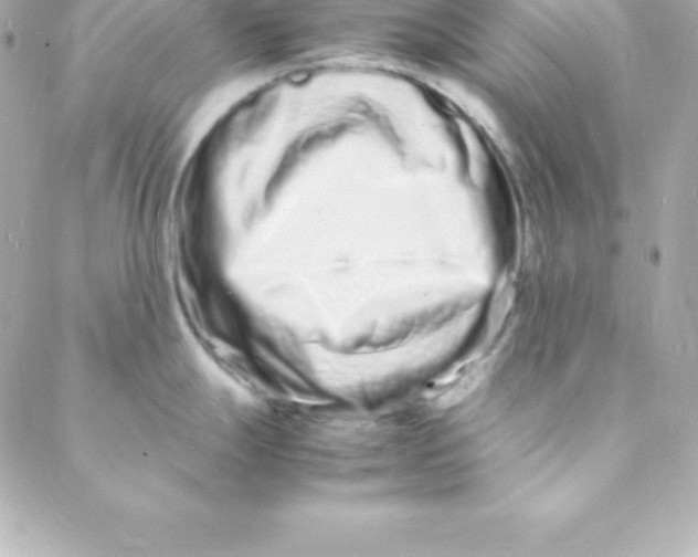 X0000088131247200705291325