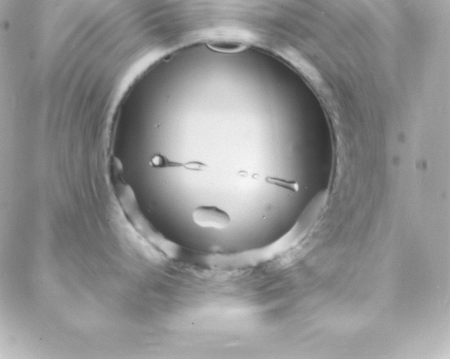 X0000088131248200705291325