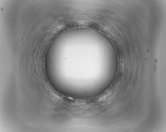 X0000088131249200705291324