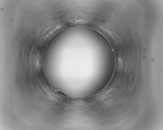 X0000088131250200705291324