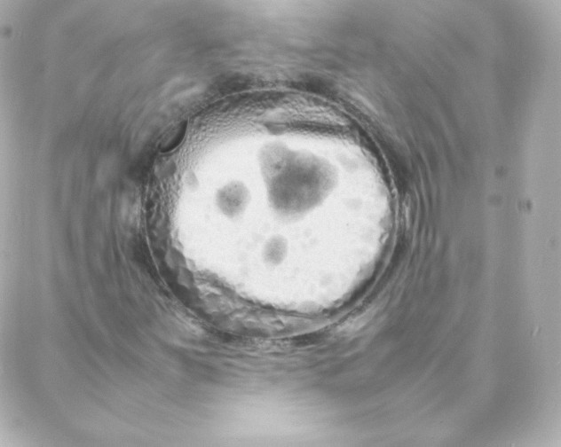 X0000088131251200705291324