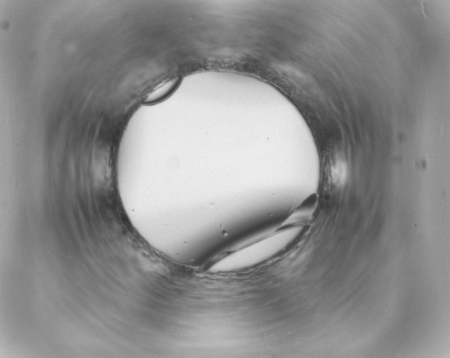 X0000088131252200705291324