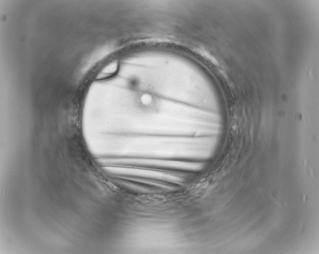 X0000088131255200705291324