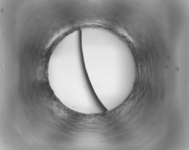 X0000088131256200705291324