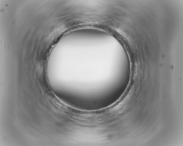 X0000088131257200705291324