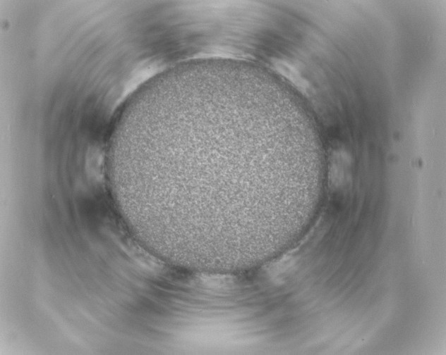 X0000088131258200705291324