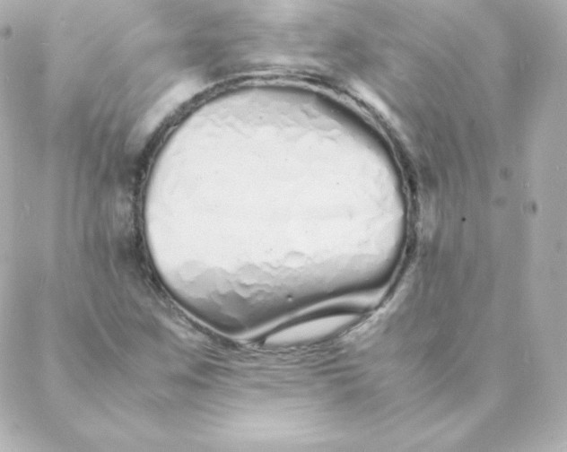 X0000088131259200705291324