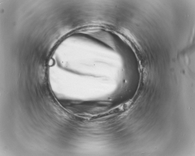 X0000088131260200705291324