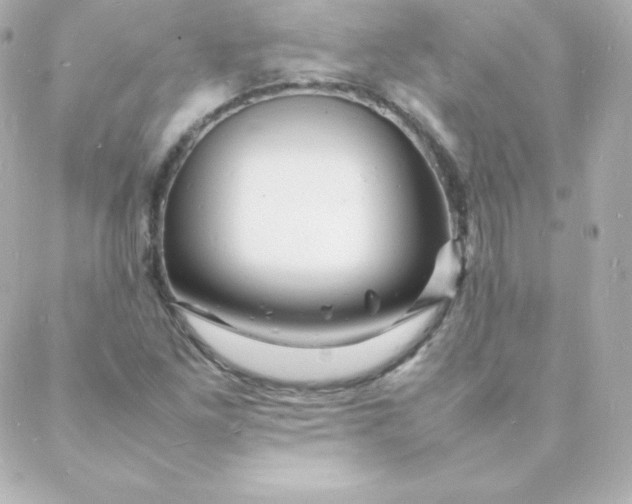 X0000088131261200705291324