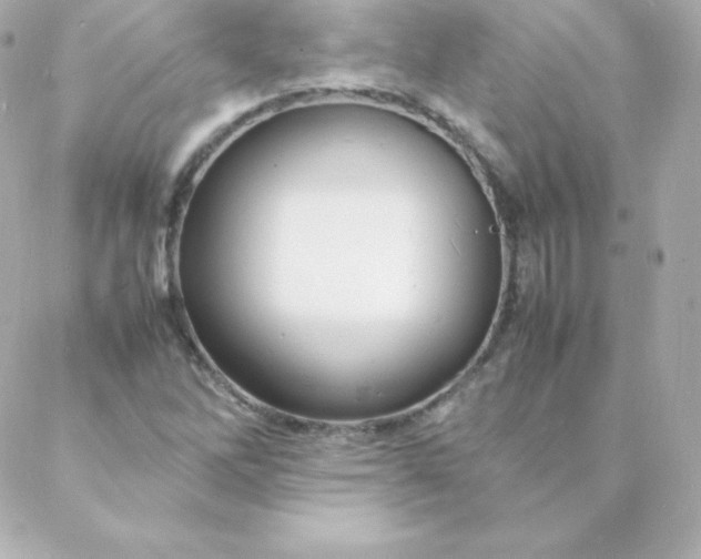 X0000088131262200705291324