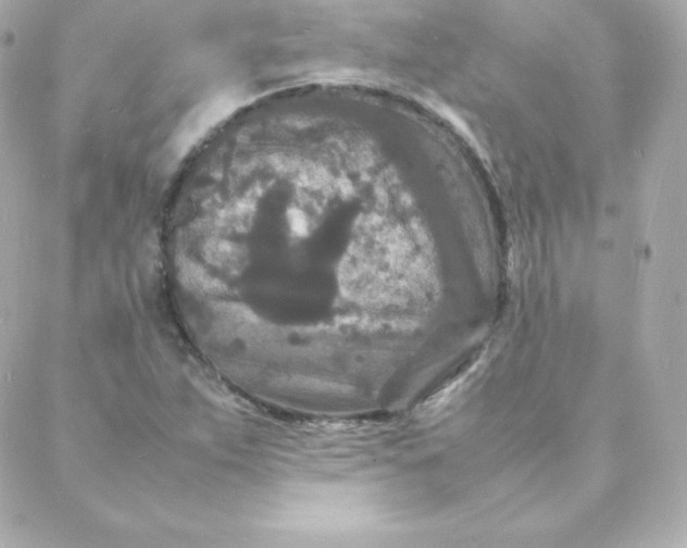 X0000088131263200705291324