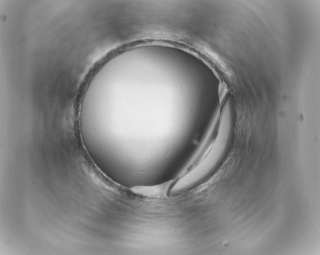 X0000088131264200705291324