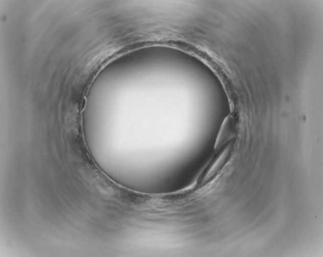 X0000088131265200705291324