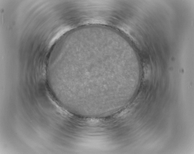 X0000088131266200705291324