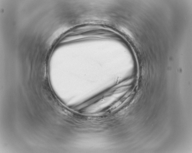 X0000088131267200705291324