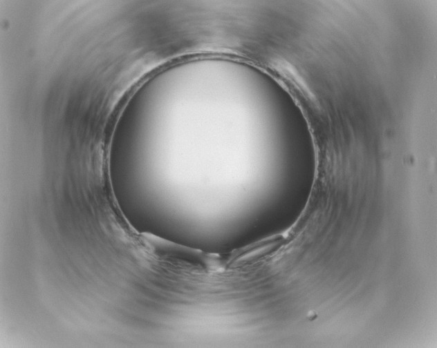 X0000088131268200705291324