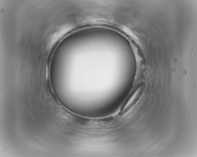 X0000088131269200705291324