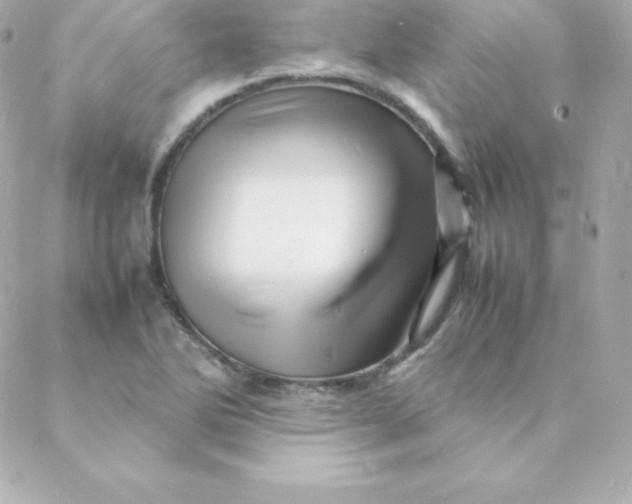 X0000088131270200705291324