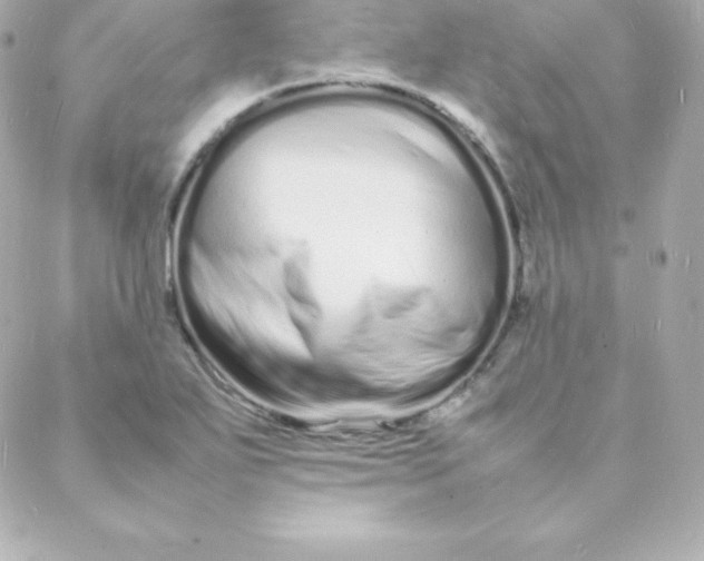 X0000088131271200705291324