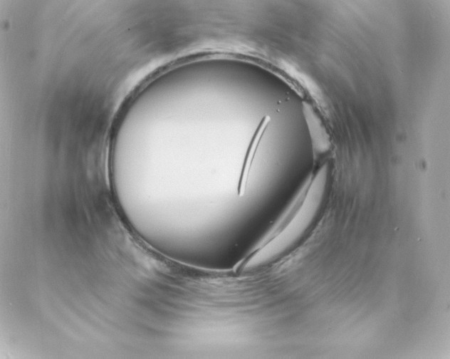 X0000088131272200705291324