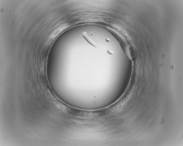 X0000088131273200705291324